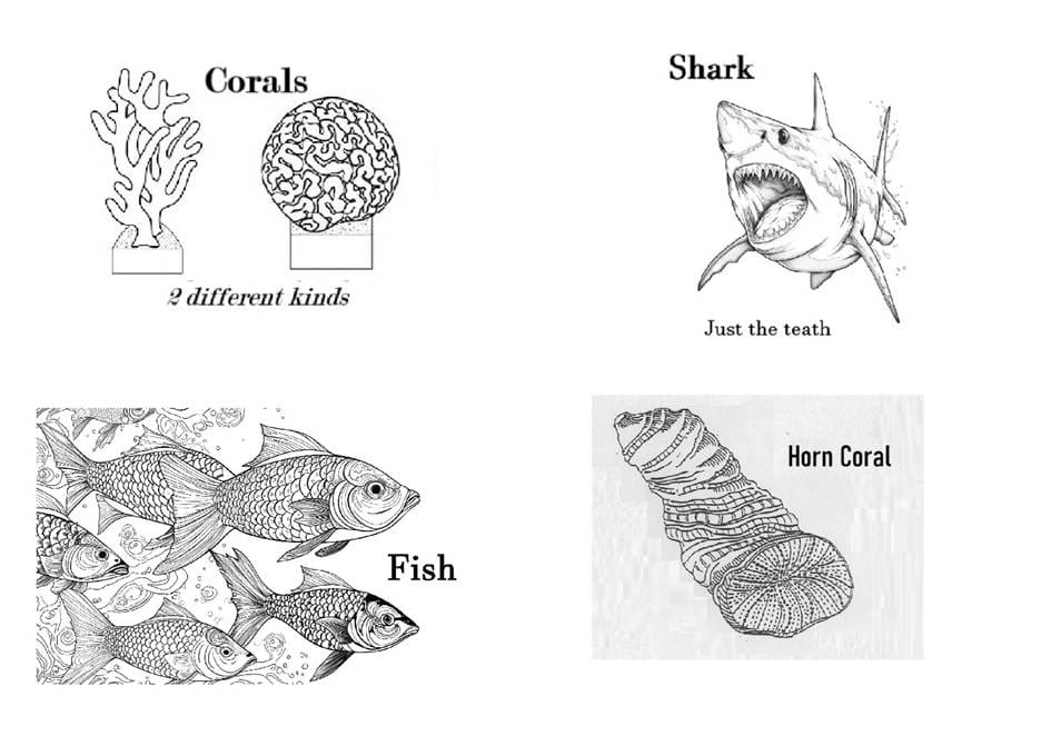 A close-up of several different types of fish

AI-generated content may be incorrect.